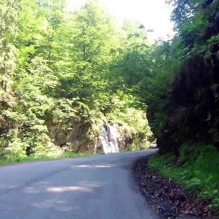 Lupeni Straja Lupeni (Hunedoara)