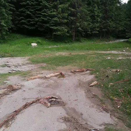 Lupeni Straja Apartment Lupeni (Hunedoara)