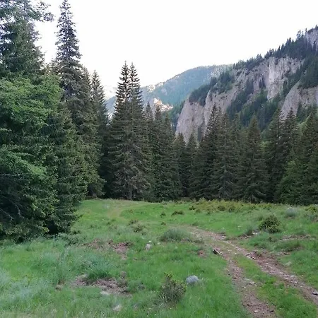 Lupeni Straja