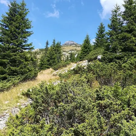 Lupeni Straja Lupeni (Hunedoara)